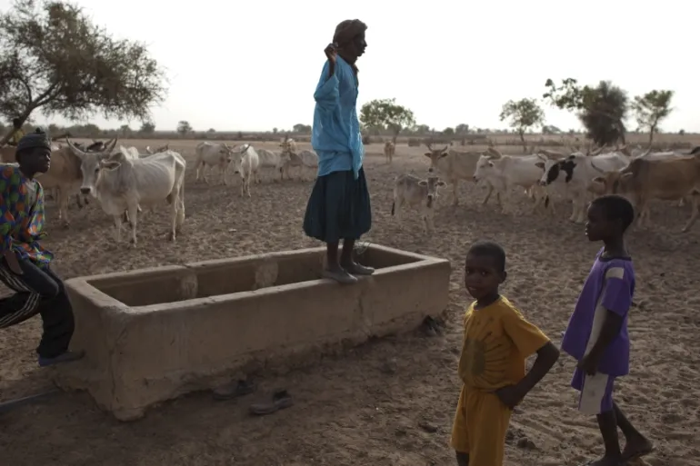 Qurbani in Mauritania